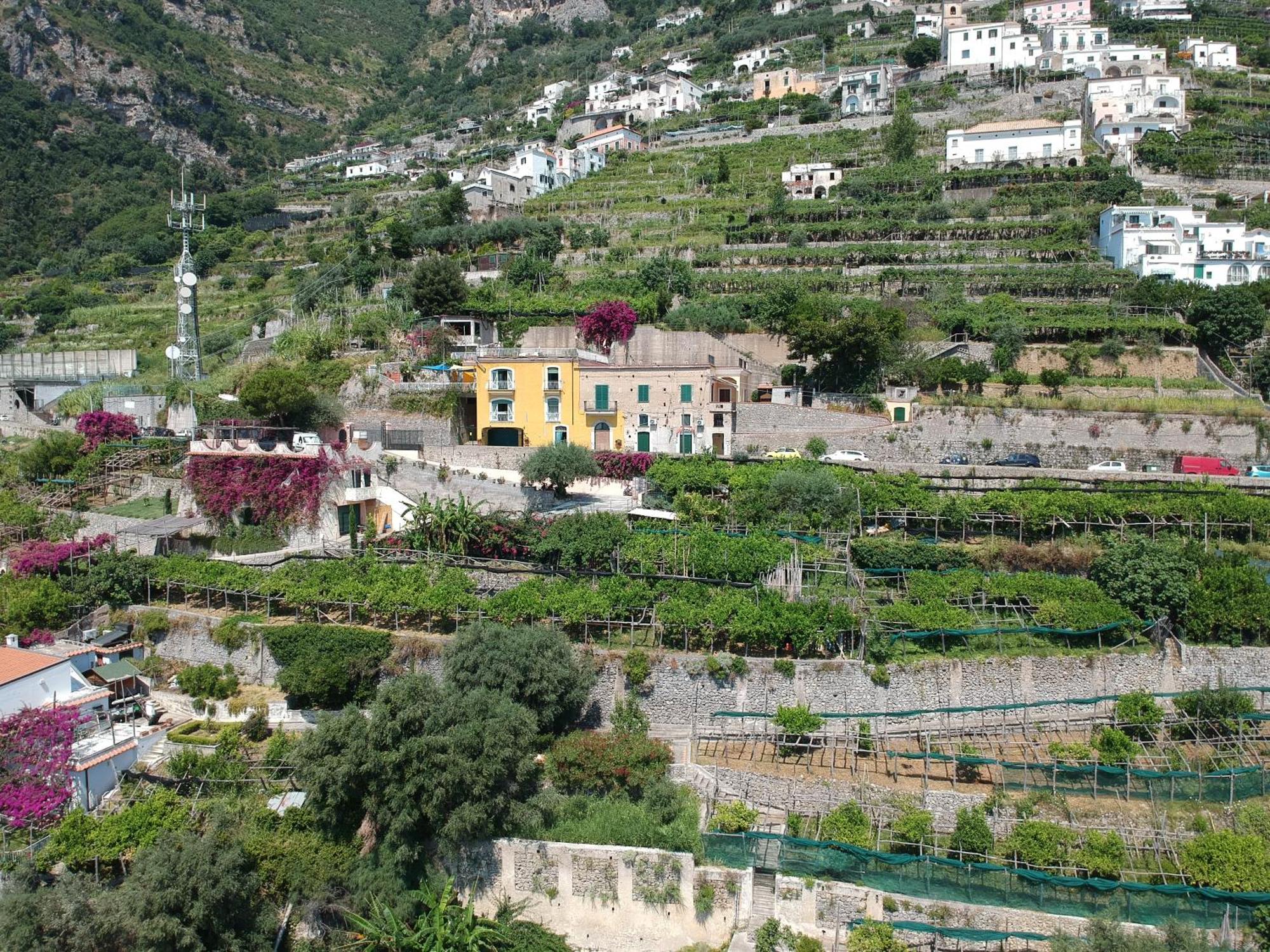 Agriturismo Fuoco D'Amalfi Villa Iazzetta Exteriér fotografie